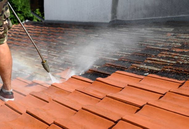 Best Pressure Washing Near Me  in Warm Mineral Springs, FL